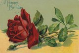 アンティーク・レプリカ・ポストカード　一輪の赤いバラ　＜薔薇のポストカード＞