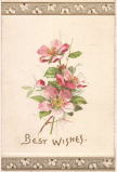 アンティーク・レプリカ・ポストカード　ピンクのバラ（ご多幸をお祈り申し上げます）＜薔薇のポストカード＞