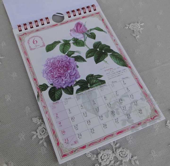薔薇の雑貨＞フロンティア＞2019年 カレンダー（クラシックローズ）＞ 植物画家　山田 道惠による薔薇のデザインのカレンダーです。 壁掛け卓上両用　　（20×14㎝）