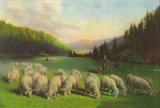 アンティーク・レプリカ・ポストカード　 羊と風景　＜動物のポストカード＞